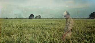 �ngela Carabal� hace historia con su �pera prima �So�� su nombre�